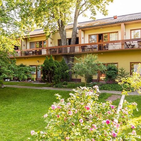 Appartementhaus Witzmann Bad Voeslau Ngoại thất bức ảnh