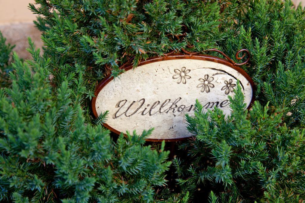 Appartementhaus Witzmann Bad Voeslau Ngoại thất bức ảnh